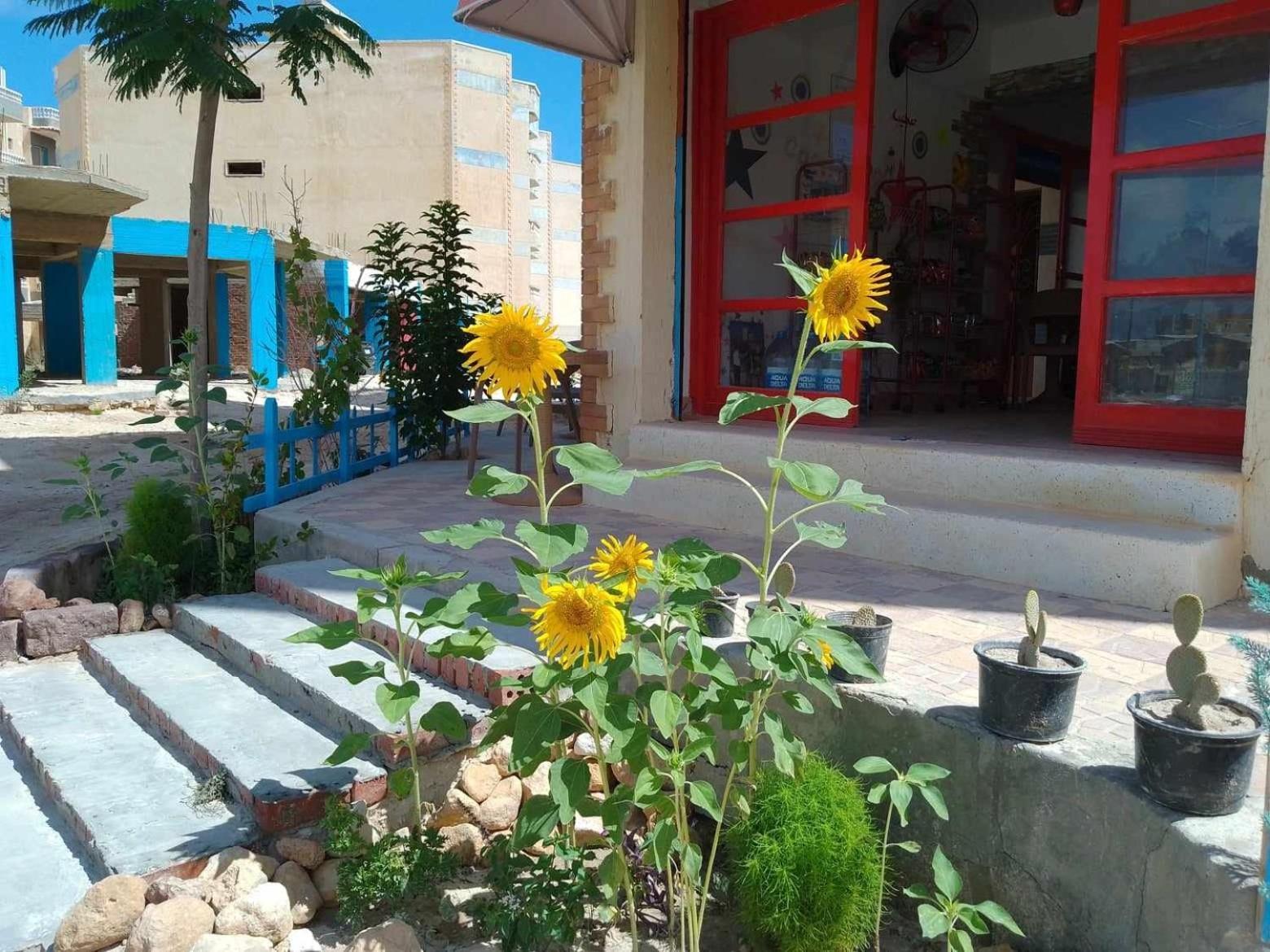 Anglo Chalets - Ageeba Beach Mersa Matruh Exterior photo